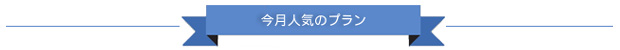 今月人気のプラン