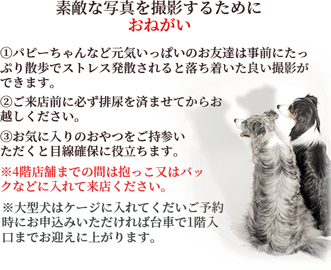 素敵な写真を撮影するためにおねがい 3項目