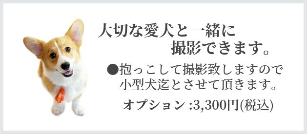 大切な愛犬と一緒に撮影できます。 ●抱っこして撮影致しますので小型犬迄とさせて頂きます。オプション:3,300円 (税込)