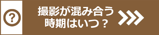 受験写真撮影はいつ撮影したら良い？