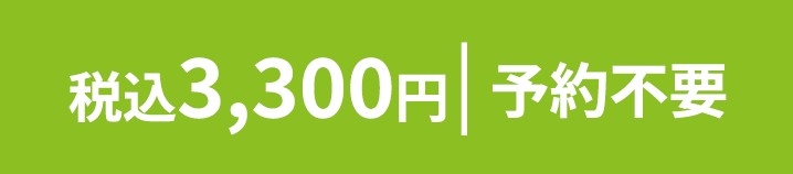 3,300円 税込 予約不要