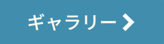 ギャラリー