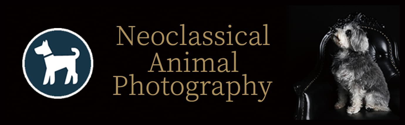 ［新企画] ネオクラシック動物肖像写真撮影