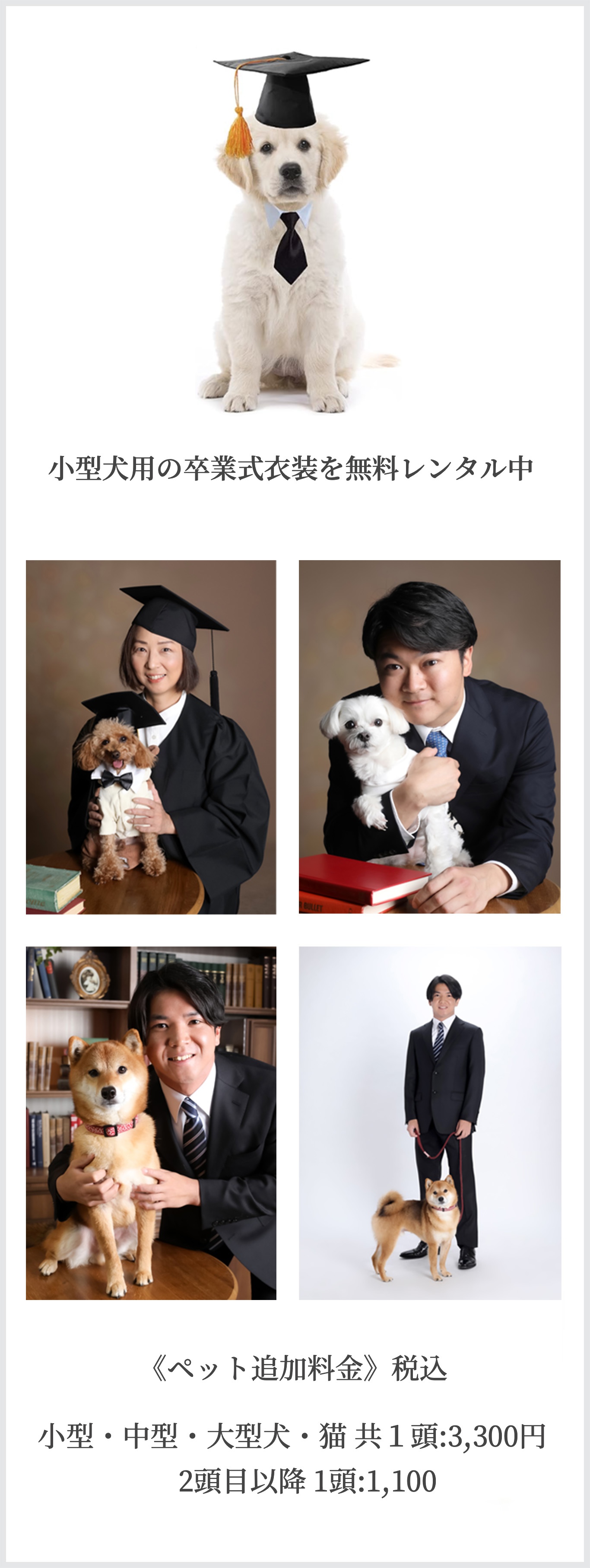 《料金》犬・猫 １匹毎:3,300円 (税込) 《おねがい》●ケージやバックに入れてご来店下さい。●限られた写真背景での撮影となります。