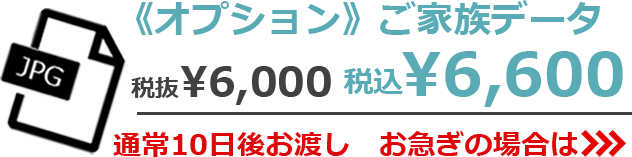 《オプション》ご家族データ 税抜¥6,000 税込¥6,600　通常10日後お渡し　お急ぎの場合は>>>