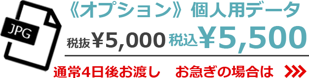 《オプション》個人用データ 税抜¥5,000　税込¥5,500 通常4日後お渡し　お急ぎの場合は>>>