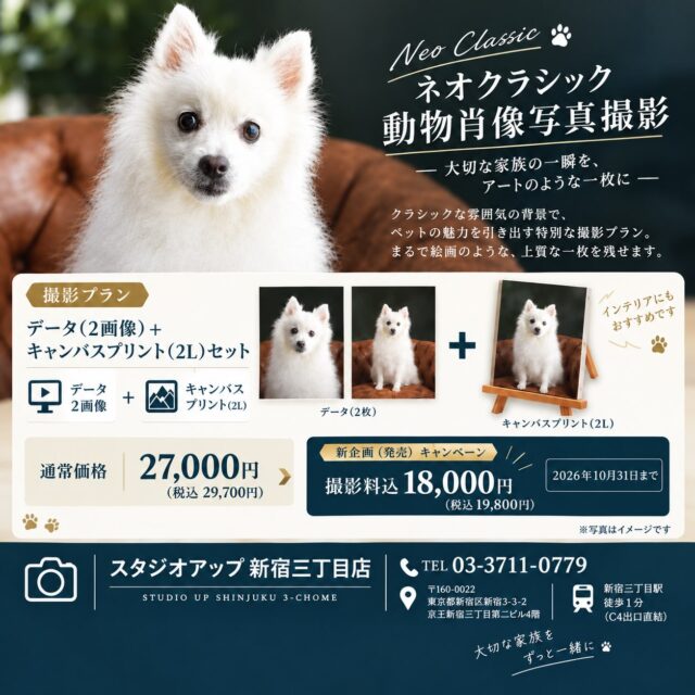 🐾 大切な家族を、アートのような一枚に。
いつもの可愛い表情も、
ふと見せる凛とした眼差しも。

家族だからこそ、
「今」の姿をきちんと残しておきたい。

STUDIO UPの
**「ネオクラシック動物肖像写真」**では、
アンティーク調の背景とやわらかな光の中で、
愛犬・愛猫の魅力を美しく写し出します。

まるで絵画のような一枚を、
お部屋に飾れるキャンバスプリントに。

📸 動物肖像写真撮影プラン
データ2ポーズ＋キャンバスプリント（18×14cm）

通常価格 29,700円（税込）
⬇
キャンペーン価格 19,800円（税込）
※2026年10月31日まで

さらに、お誕生月に撮影された方には、スマホ用待ち受けデータをプレゼント🎁
お名前・年齢・生年月日を入れた特別デザインです。

愛犬・愛猫との大切な時間を、
「思い出」だけでなく「作品」として残してみませんか？

📍スタジオアップ新宿三丁目店
新宿三丁目駅 C4出口直結・徒歩1分
JR新宿駅から徒歩7分

詳しいプラン・ご予約はプロフィールのリンクから🔗

#ペット撮影 #愛犬撮影 #ペット写真 #犬のいる暮らし #スタジオアップ新宿三丁目