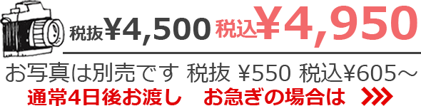 税抜¥4,500　税込¥4,950 お写真は別売です 税抜¥550　税込¥605~ 通常4日後お渡し お急ぎの場合は>>>