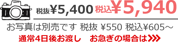 税抜¥5,400　税込¥5,940 お写真は別売です 税抜¥550　税込¥605~ 通常4日後お渡し お急ぎの場合は>>>